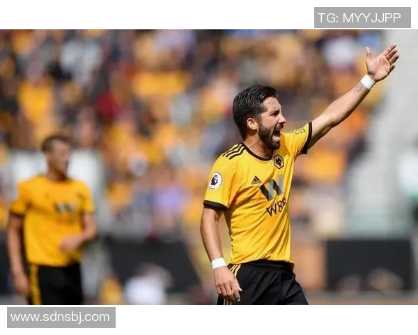 加的夫与狼队最新比分对决分析及比赛精彩瞬间回顾