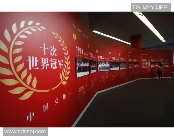 北京排球队的奋斗与荣耀：一段排球精神的真实纪实之旅