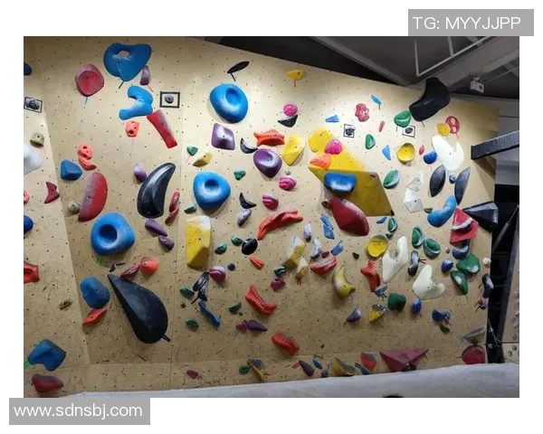 杭州攀岩队与上海攀岩队实力对比赛后复盘分析与总结MBA